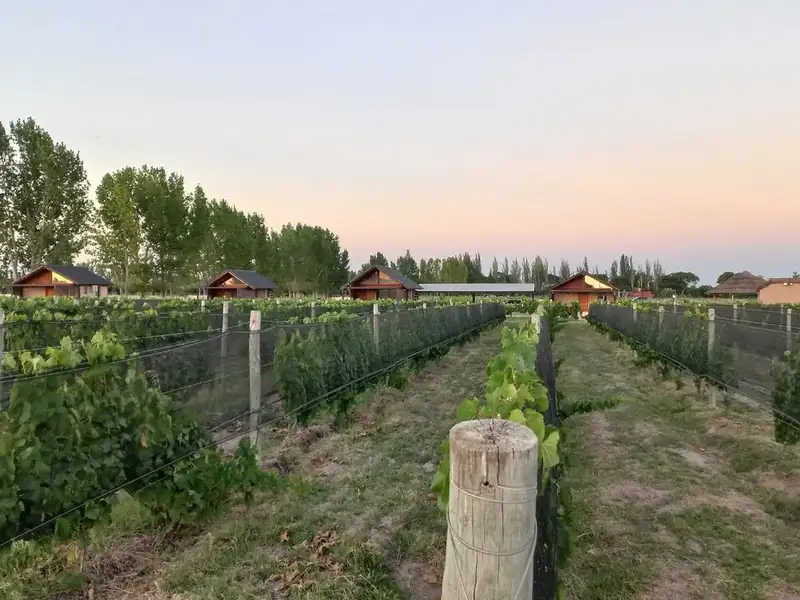 Martyniuk Lodges