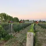 Martyniuk Lodges