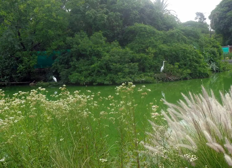 Ecoparque de Buenos Aires
