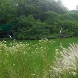 Ecoparque de Buenos Aires