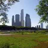 Reserva Ecológica Costanera Sur