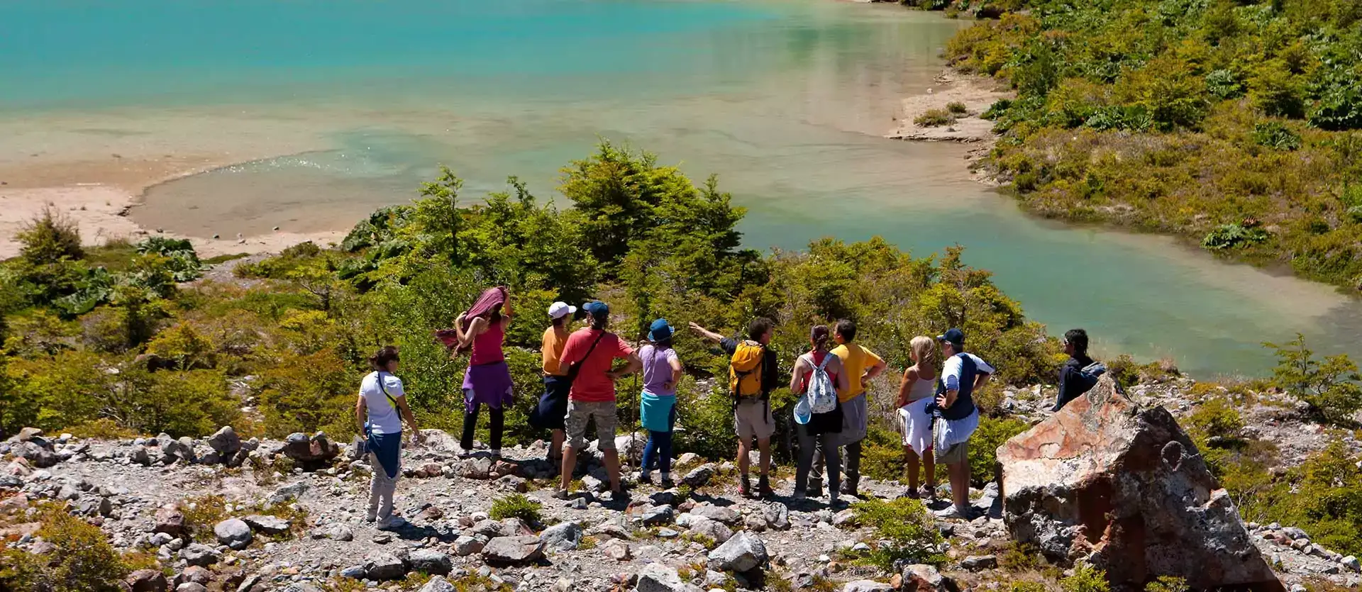 Patagonia Verde