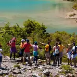 Patagonia Verde