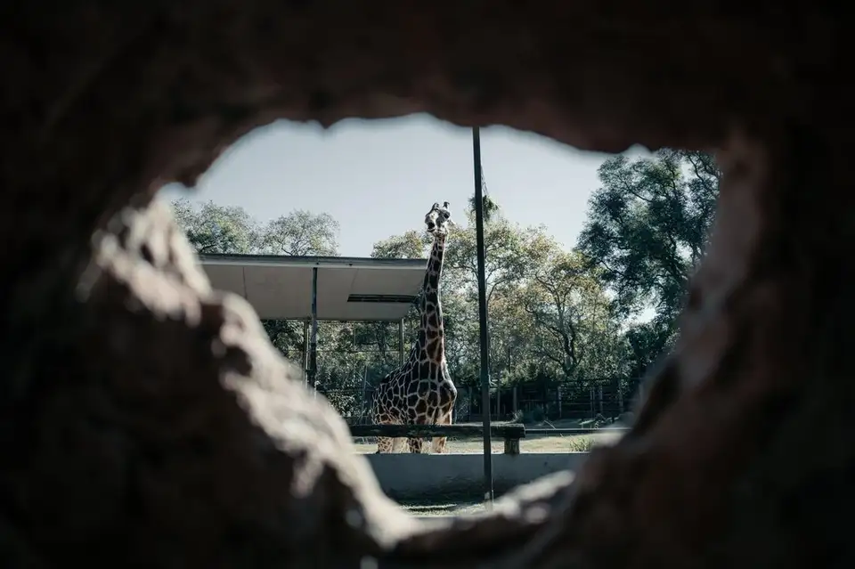 Centro de Conservación Zoo Córdoba