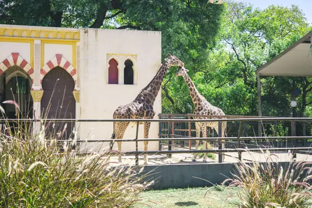 Centro de Conservación Zoo Córdoba photo 4