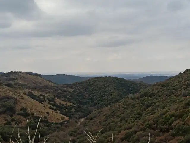 El Camino del Cuadrado