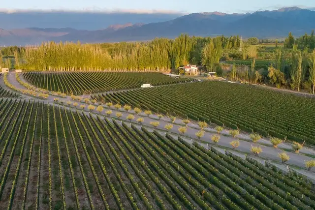 Finca Bandini