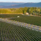 Finca Bandini