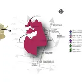 Mendel Wines