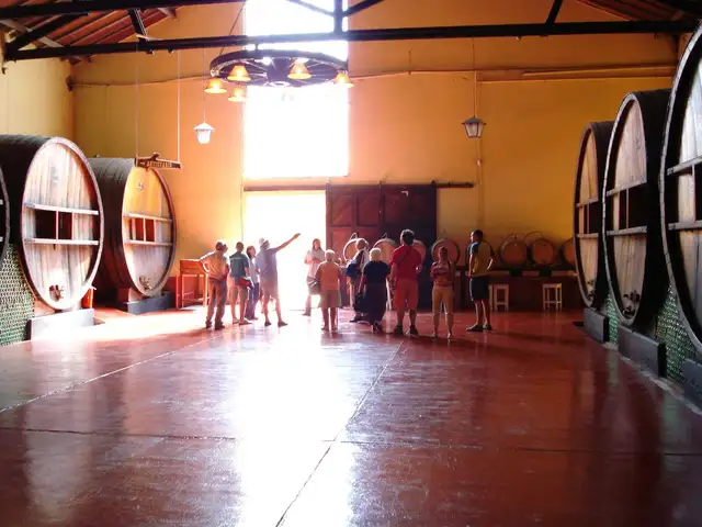 Bodegas Baudron