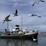Saint Christopher Ship