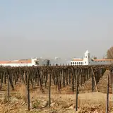 Baco Resto Bar