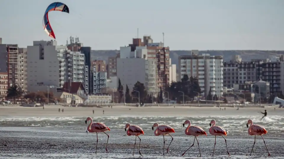 Puerto Madryn
