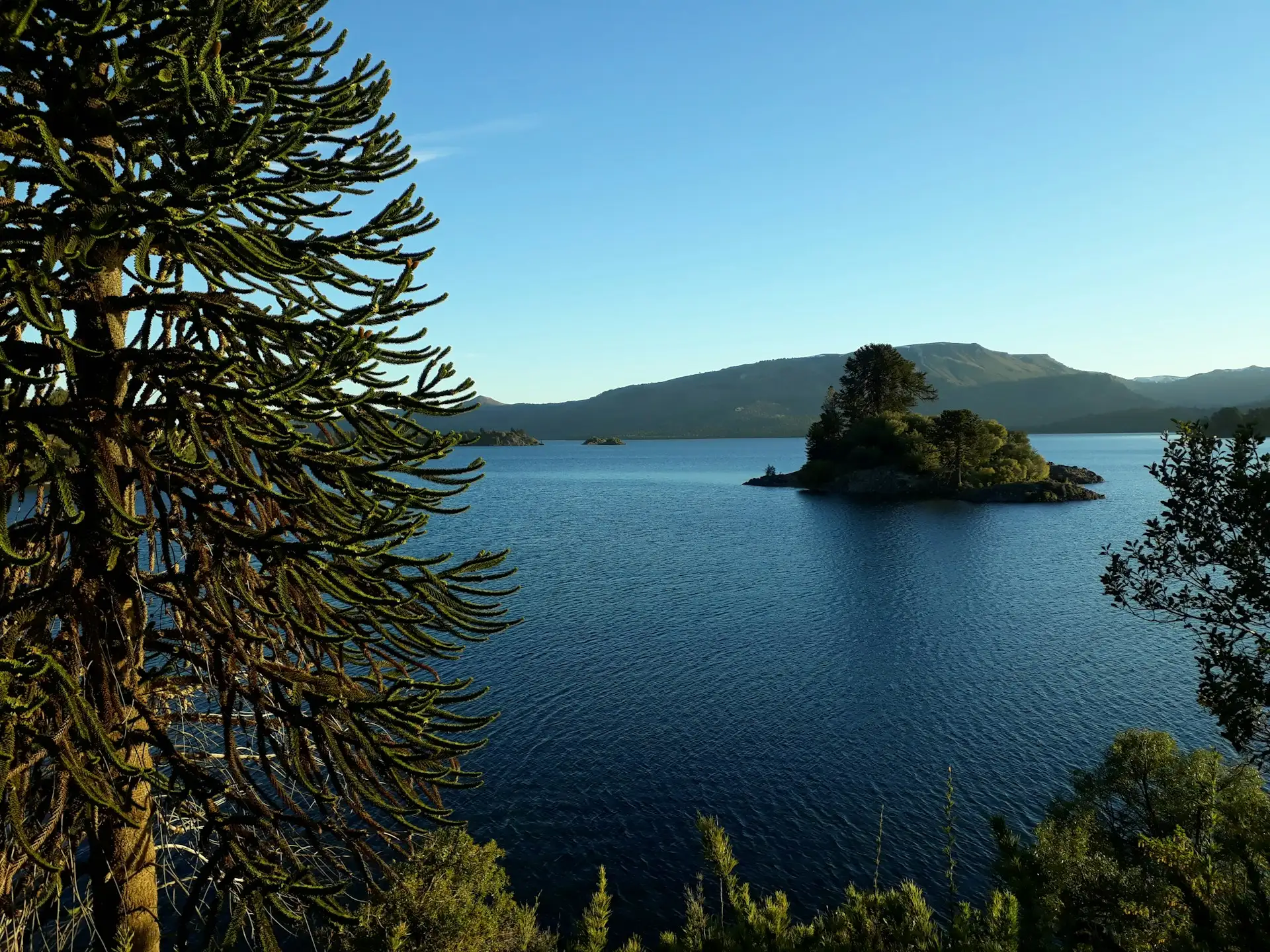Villa Pehuenia