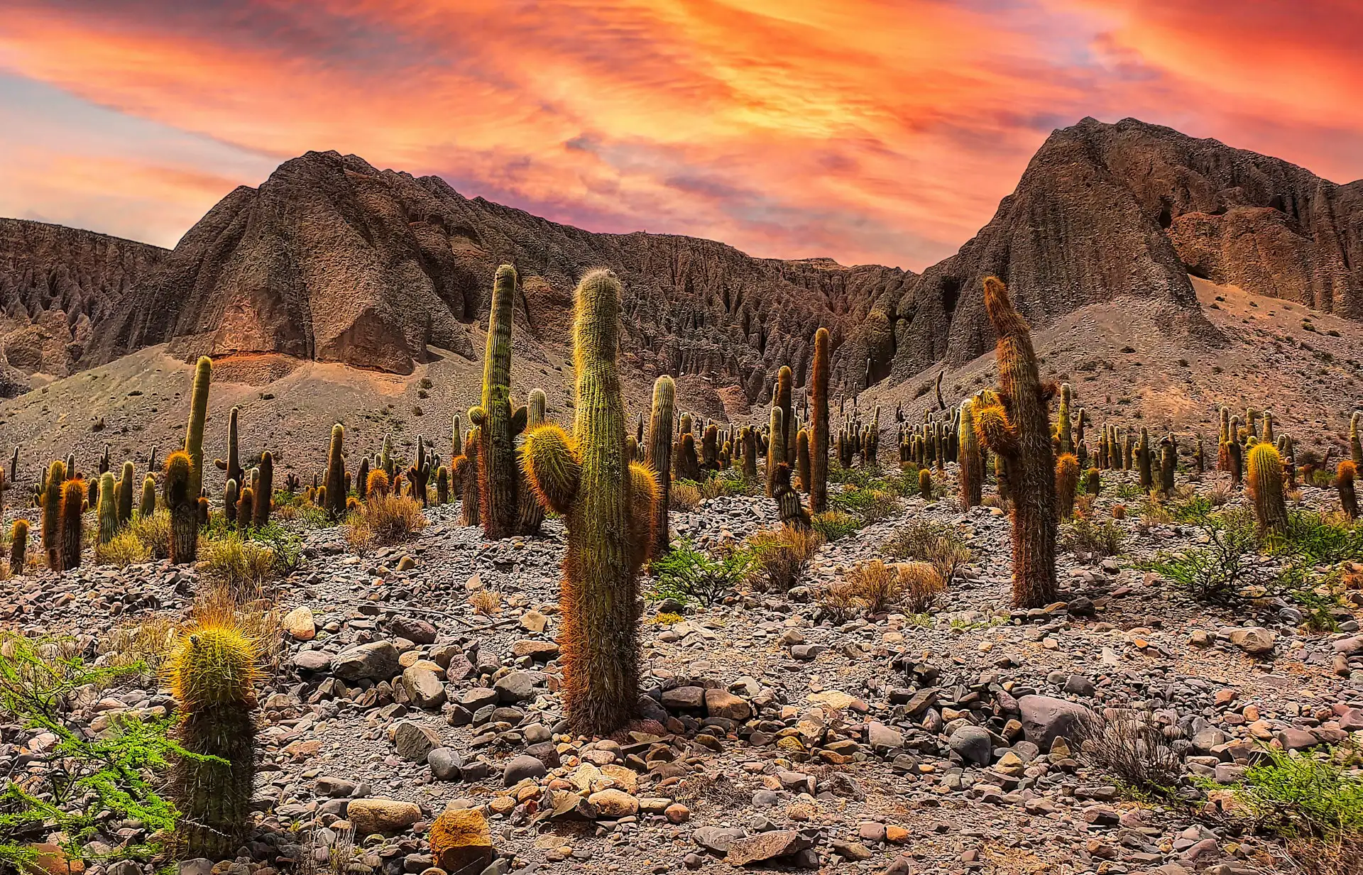 Salta