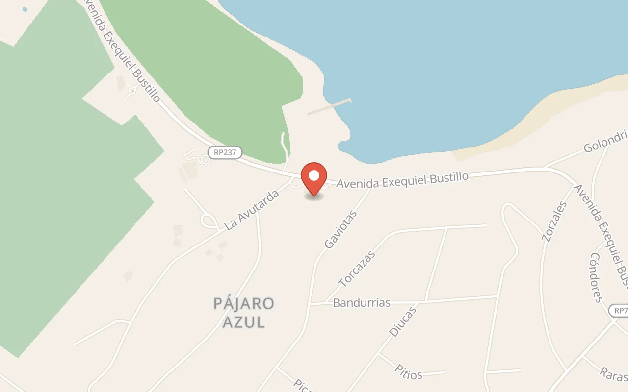 Pablo Bernasconi Gallery map